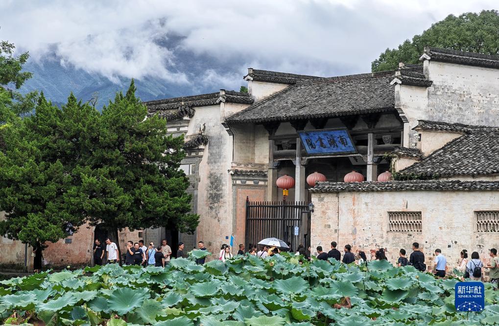最大的网赌公司